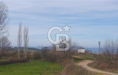 YALOVA TERMAL AKKÖYDE MUHTEŞEM DENİZ VE DOĞA MANZARALI 503M2 ARSA