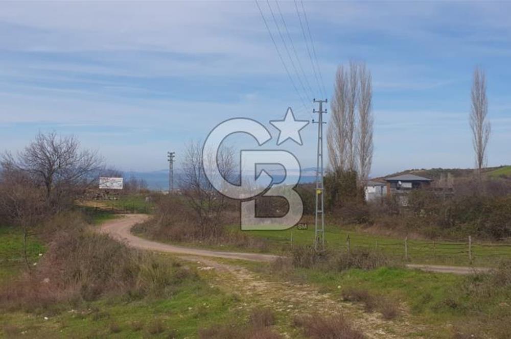 YALOVA TERMAL AKKÖYDE MUHTEŞEM DENİZ VE DOĞA MANZARALI 503M2 ARSA