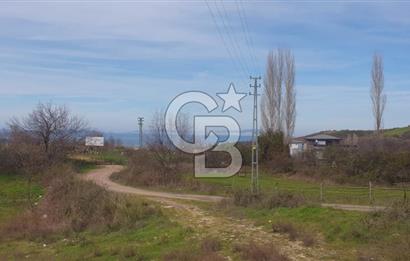 YALOVA TERMAL AKKÖYDE MUHTEŞEM DENİZ VE DOĞA MANZARALI 503M2 ARSA