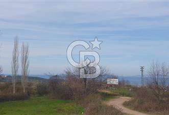 YALOVA TERMAL AKKÖYDE MUHTEŞEM DENİZ VE DOĞA MANZARALI 503M2 ARSA - 5 - 335864