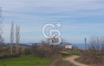 YALOVA TERMAL AKKÖYDE MUHTEŞEM DENİZ VE DOĞA MANZARALI 503M2 ARSA
