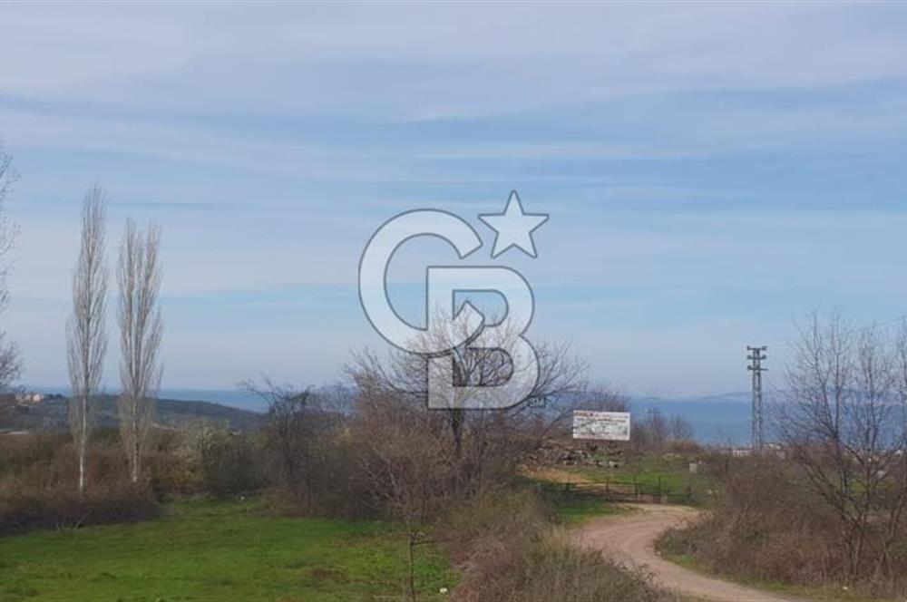 YALOVA TERMAL AKKÖYDE MUHTEŞEM DENİZ VE DOĞA MANZARALI 503M2 ARSA