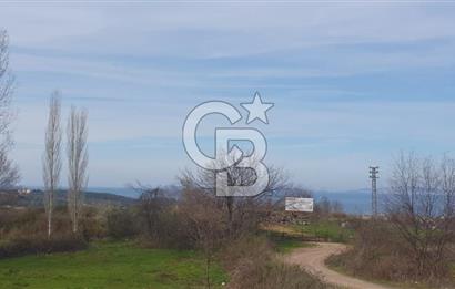 YALOVA TERMAL AKKÖYDE MUHTEŞEM DENİZ VE DOĞA MANZARALI 503M2 ARSA