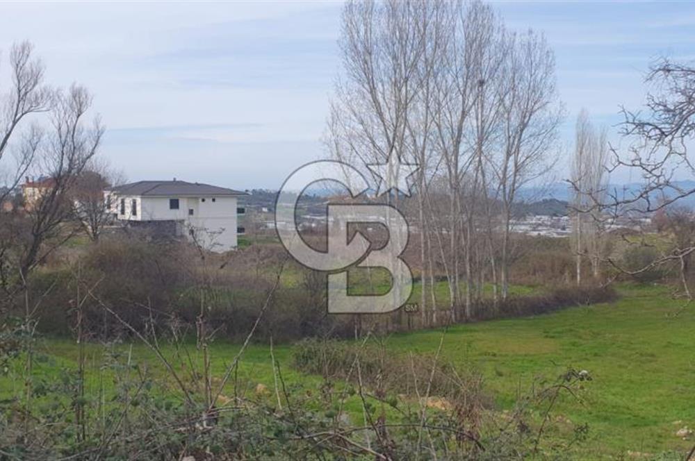 YALOVA TERMAL AKKÖYDE MUHTEŞEM DENİZ VE DOĞA MANZARALI 503M2 ARSA