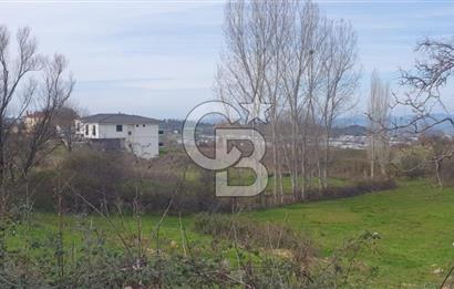 YALOVA TERMAL AKKÖYDE MUHTEŞEM DENİZ VE DOĞA MANZARALI 503M2 ARSA