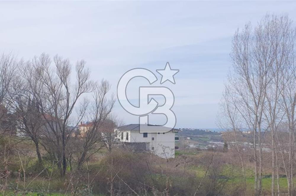 YALOVA TERMAL AKKÖYDE MUHTEŞEM DENİZ VE DOĞA MANZARALI 503M2 ARSA