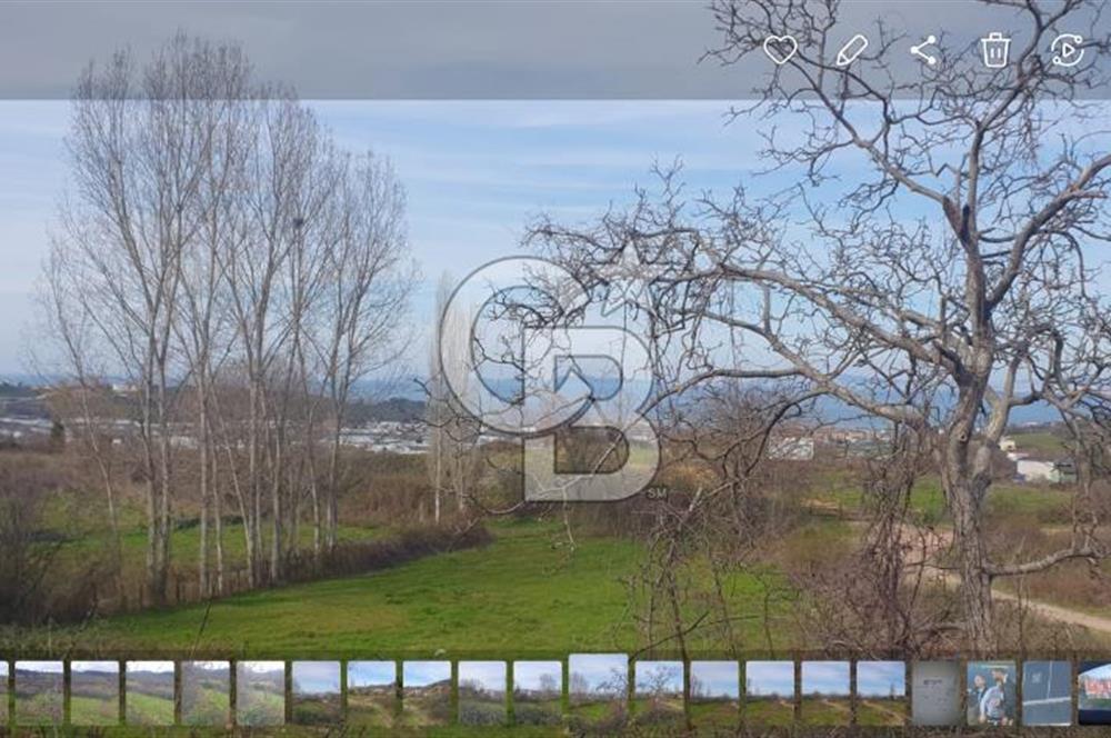 YALOVA TERMAL AKKÖYDE MUHTEŞEM DENİZ VE DOĞA MANZARALI 503M2 ARSA