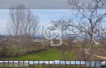 YALOVA TERMAL AKKÖYDE MUHTEŞEM DENİZ VE DOĞA MANZARALI 503M2 ARSA