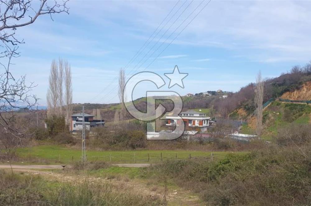 YALOVA TERMAL AKKÖYDE MUHTEŞEM DENİZ VE DOĞA MANZARALI 503M2 ARSA