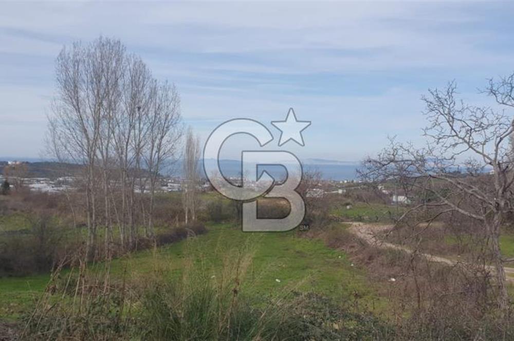 YALOVA TERMAL AKKÖYDE MUHTEŞEM DENİZ VE DOĞA MANZARALI 503M2 ARSA