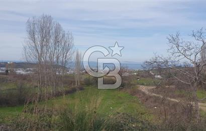 YALOVA TERMAL AKKÖYDE MUHTEŞEM DENİZ VE DOĞA MANZARALI 503M2 ARSA