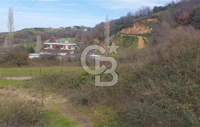 YALOVA TERMAL AKKÖYDE MUHTEŞEM DENİZ VE DOĞA MANZARALI 503M2 ARSA