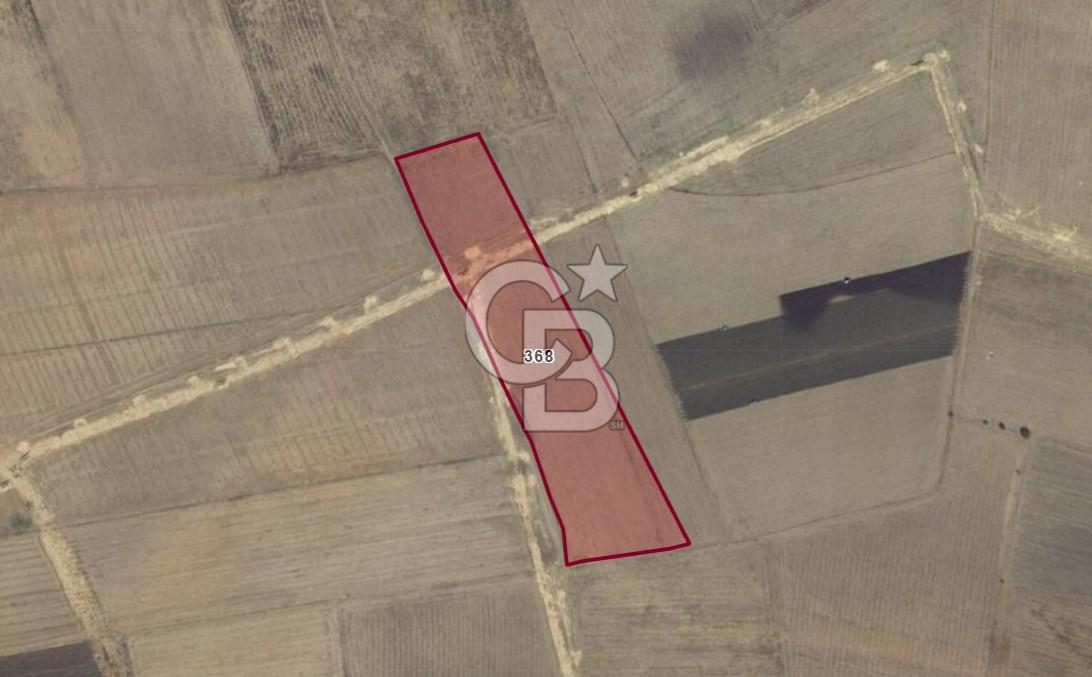 Adana Ceyhan Büyükmangıt'ta 25.460 m² Satılık Sulu Tarla