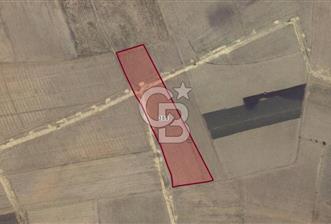 Adana Ceyhan Büyükmangıt'ta 25.460 m² Satılık Sulu Tarla - 1 - 335872