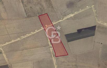 Adana Ceyhan Büyükmangıt'ta 25.460 m² Satılık Sulu Tarla