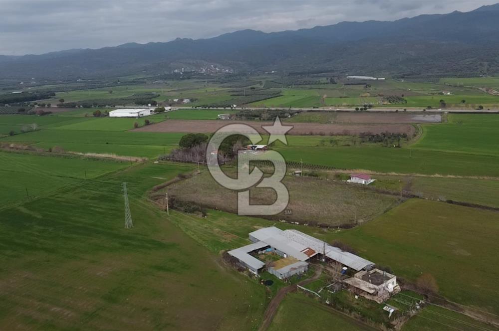 dikili ismetpaşa da tek tapulu yatırımlık tarla