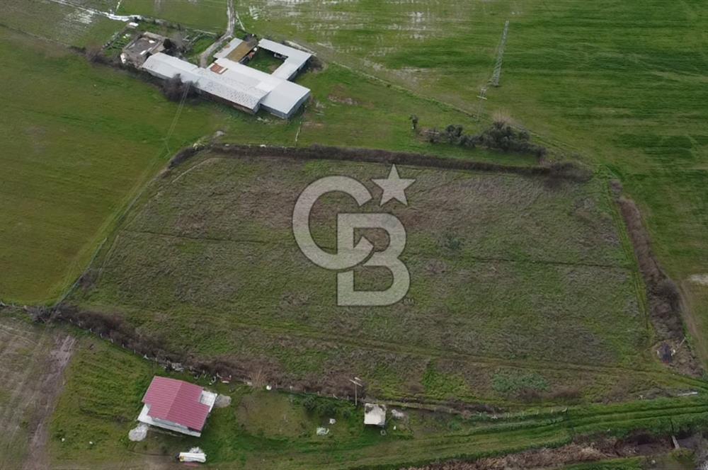 dikili ismetpaşa da tek tapulu yatırımlık tarla