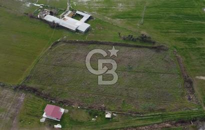 dikili ismetpaşa da tek tapulu yatırımlık tarla