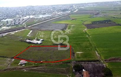 dikili ismetpaşa da tek tapulu yatırımlık tarla