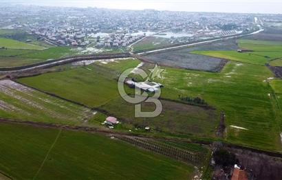 dikili ismetpaşa da tek tapulu yatırımlık tarla