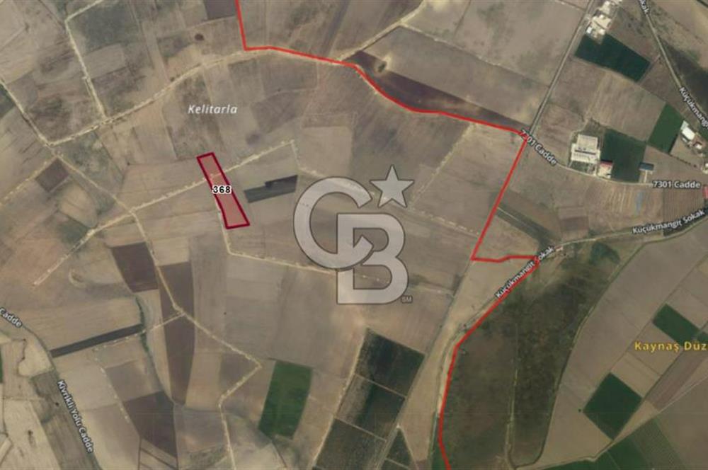 Adana Ceyhan Büyükmangıt'ta 25.460 m² Satılık Sulu Tarla