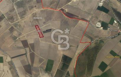 Adana Ceyhan Büyükmangıt'ta 25.460 m² Satılık Sulu Tarla