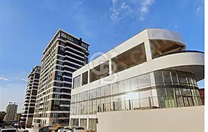 SİTELER ASGARDİA TERAS PROJESİNDE KİRALİK İSYERLERİ