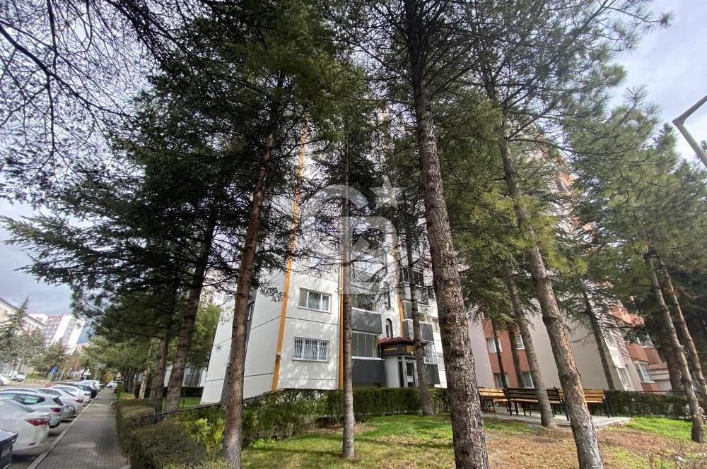 ERYAMAN OPTİMUM AVM KARŞISI AGE BLK. ARA KAT 3+1 SATILIK DAİRE