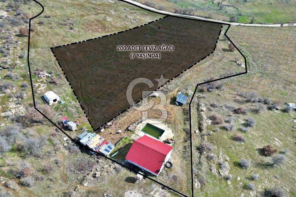 CB OPİA'DAN ' 21.705m² CEVİZLİK VE HAVUZLU YAŞAM ALANI'