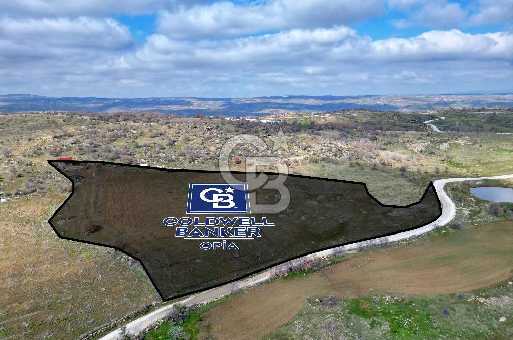 CB OPİA'DAN ' 21.705m² CEVİZLİK VE HAVUZLU YAŞAM ALANI'