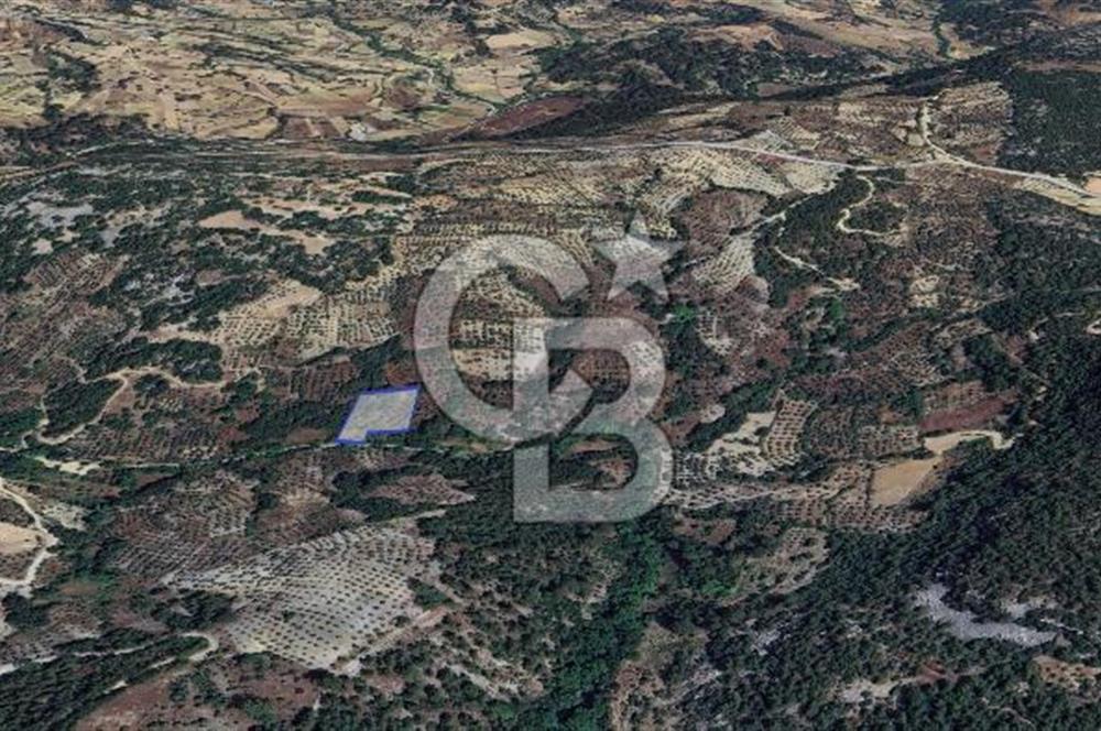 Muğla/Menteşe Denizova Mahallesinde 2874 M2 Satılık Tarla