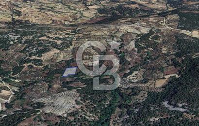 Muğla/Menteşe Denizova Mahallesinde 2874 M2 Satılık Tarla