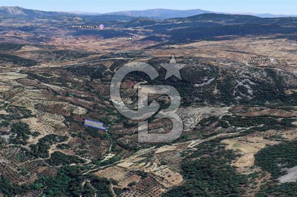 Muğla/Menteşe Denizova Mahallesinde 2874 M2 Satılık Tarla