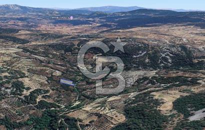 Muğla/Menteşe Denizova Mahallesinde 2874 M2 Satılık Tarla