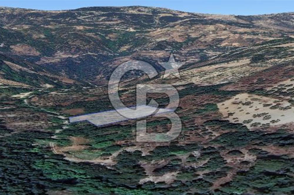 Muğla/Menteşe Denizova Mahallesinde 2874 M2 Satılık Tarla