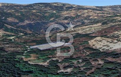 Muğla/Menteşe Denizova Mahallesinde 2874 M2 Satılık Tarla