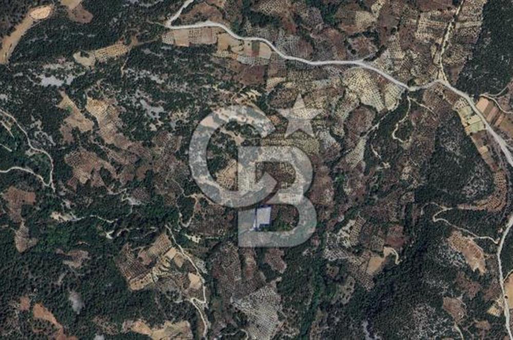 Muğla/Menteşe Denizova Mahallesinde 2874 M2 Satılık Tarla