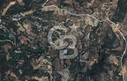 Muğla/Menteşe Denizova Mahallesinde 2874 M2 Satılık Tarla