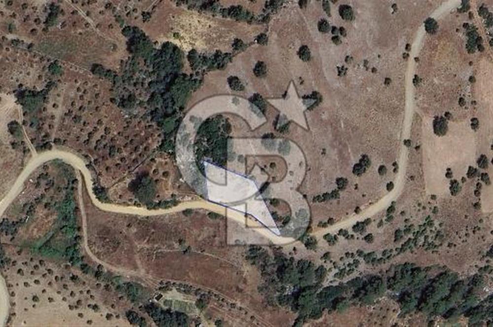 Muğla/Menteşe Çatakbağyakada 929 M2 Satılık Tarla 