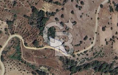Muğla/Menteşe Çatakbağyakada 929 M2 Satılık Tarla 