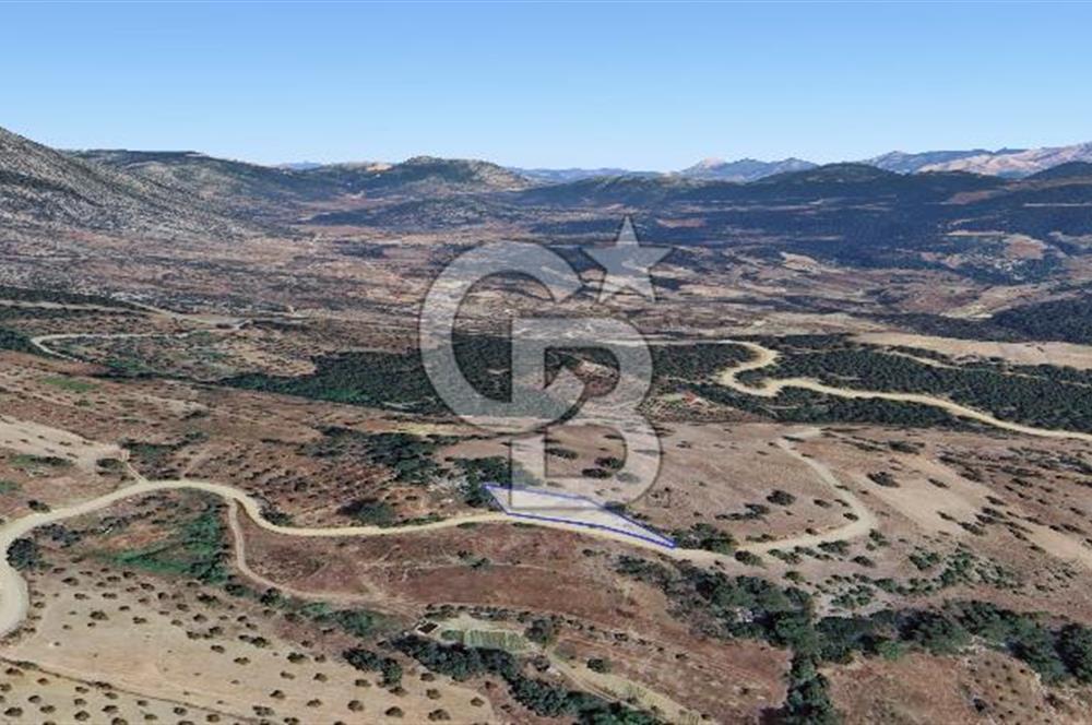 Muğla/Menteşe Çatakbağyakada 929 M2 Satılık Tarla 