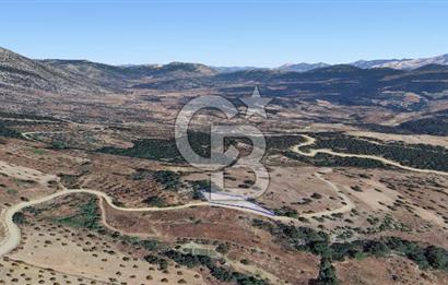 Muğla/Menteşe Çatakbağyakada 929 M2 Satılık Tarla 