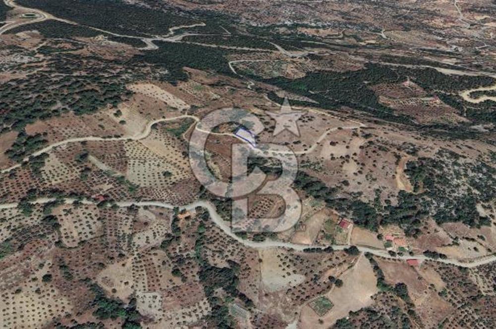 Muğla/Menteşe Çatakbağyakada 929 M2 Satılık Tarla 