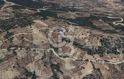 Muğla/Menteşe Çatakbağyakada 929 M2 Satılık Tarla 