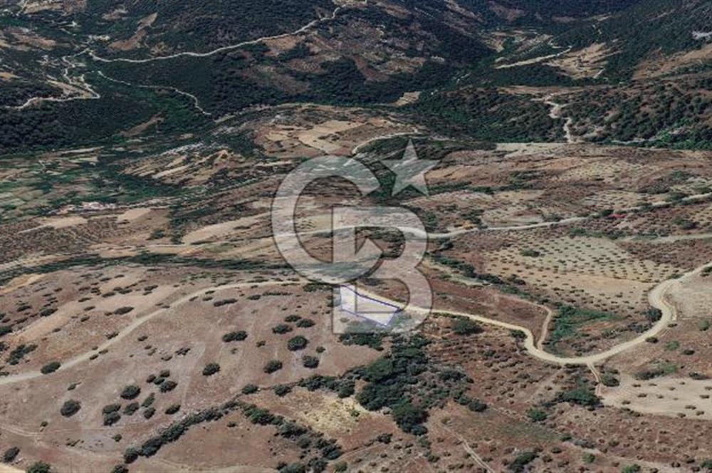 Muğla/Menteşe Çatakbağyakada 929 M2 Satılık Tarla 