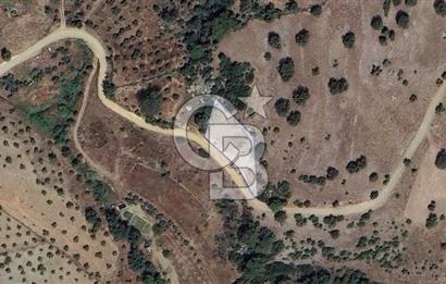Muğla/Menteşe Çatakbağyakada 929 M2 Satılık Tarla 