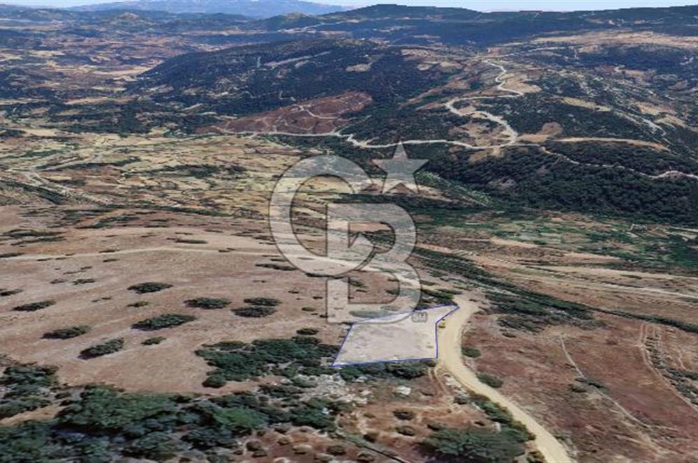 Muğla/Menteşe Çatakbağyakada 929 M2 Satılık Tarla 