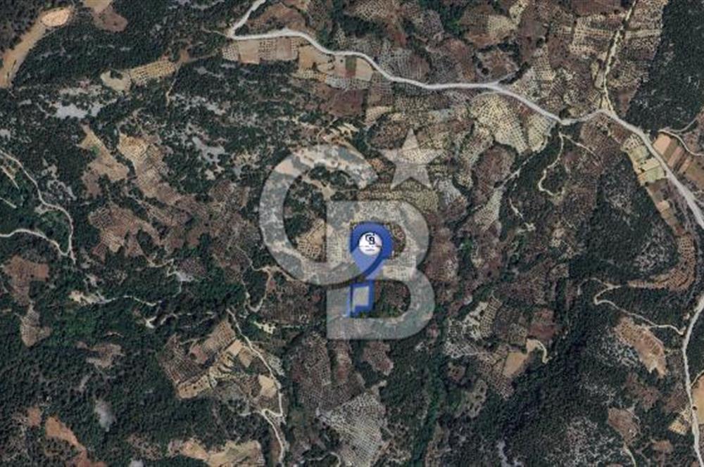 Muğla/Menteşe Denizova Mahallesinde 2874 M2 Satılık Tarla