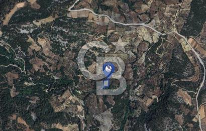Muğla/Menteşe Denizova Mahallesinde 2874 M2 Satılık Tarla