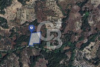 Muğla/Menteşe Denizova Mahallesinde 2874 M2 Satılık Tarla - 10 - 335913